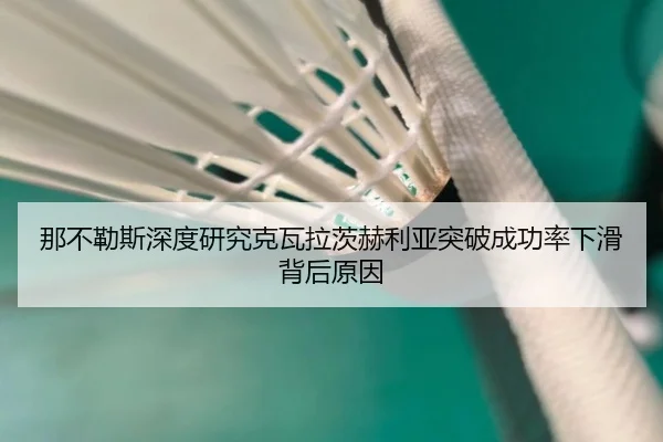 na-bu-le-si-shen-du-yan-jiu-ke-wa-la-ci-he-li-ya-tu-po-cheng-gong-lv-xia-hua-bei-hou-yuan-yin-2-490.jpg